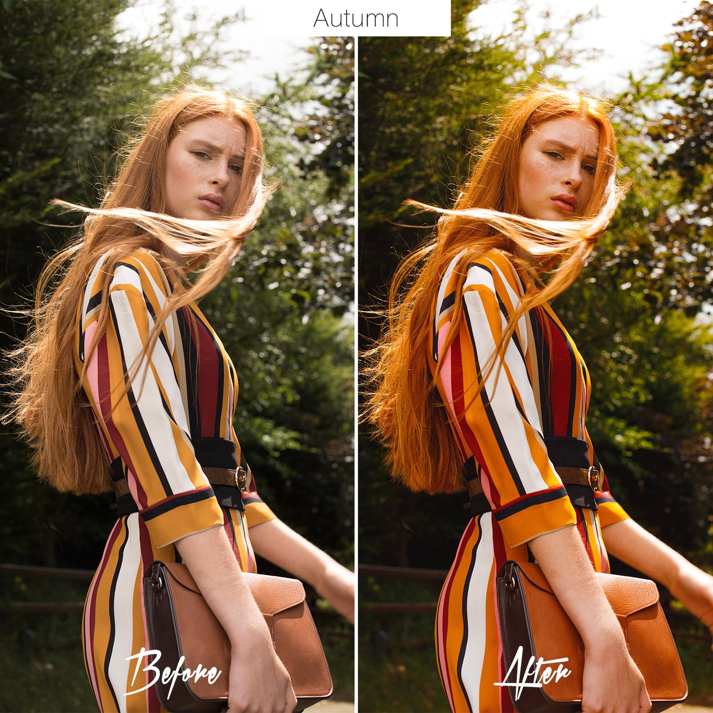 Lightroom Fashion Presets