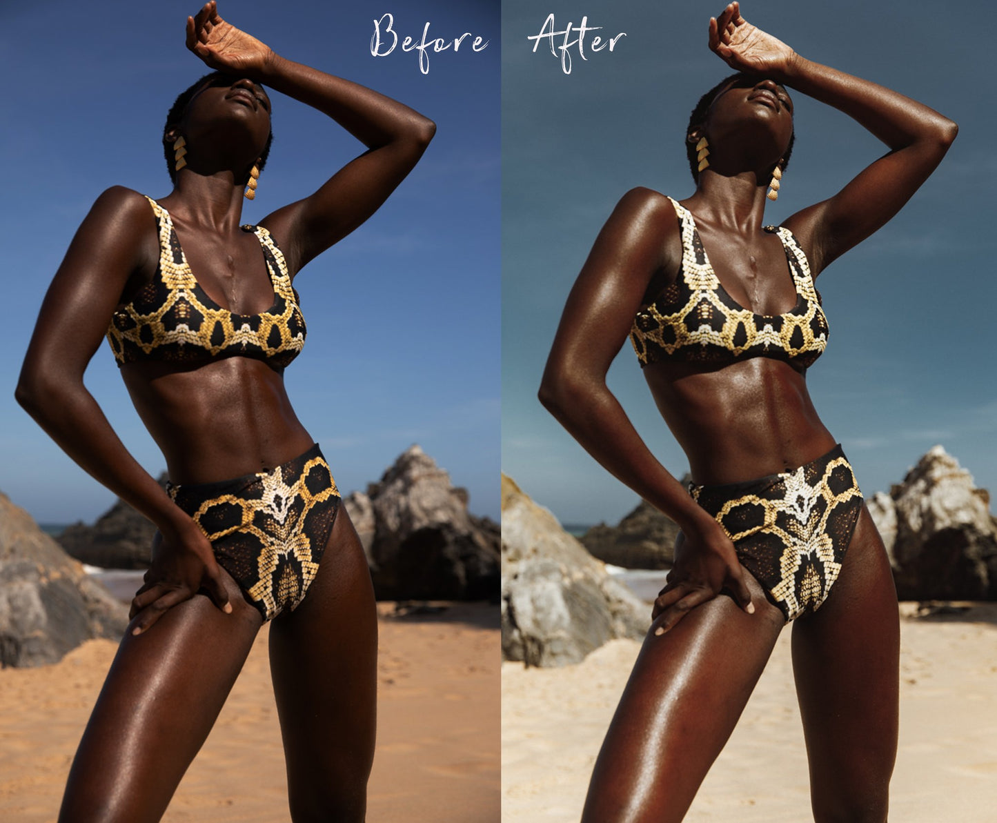 Light + Dark Skintones Preset Bundle DESKTOP